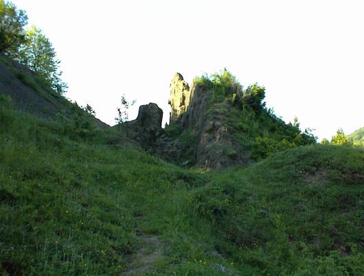 DSC00128 - vatza de jos