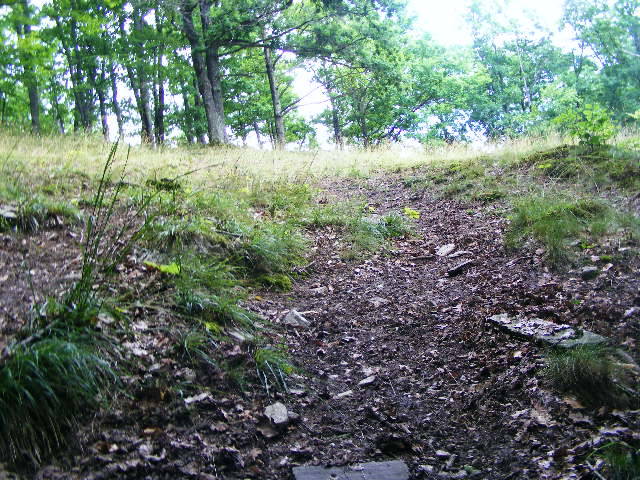 DSCF2554 - Berchezoaia Biserica Vacilor 28 iunie 2009