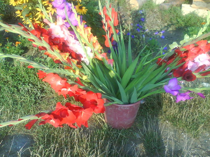 DSC00673
