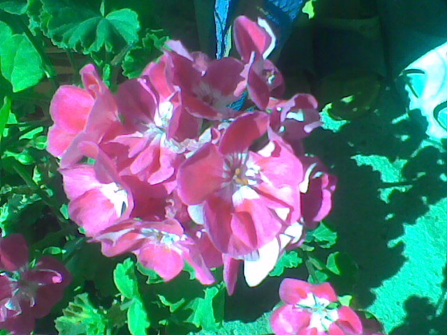 Imag011