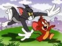 tom si jerry3 - poze tom si jerry