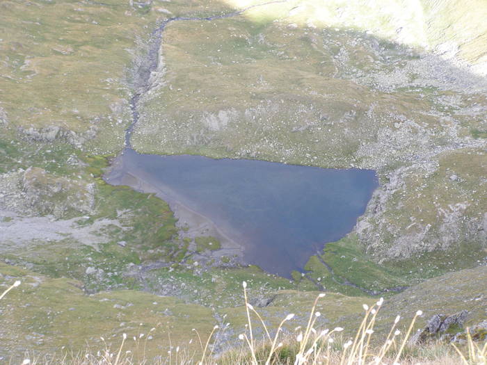 P8252335