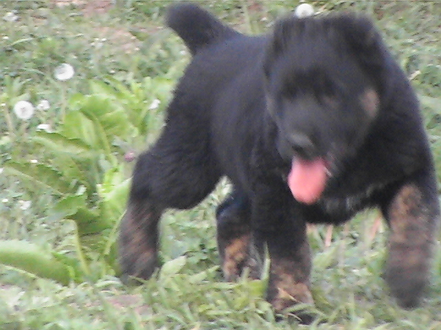 poze 04.05.2009 113