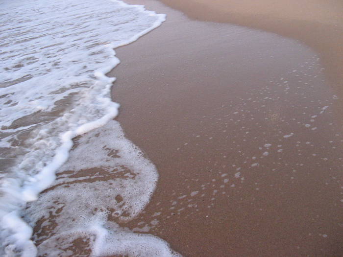 009 - rasarit 09 aug 2009