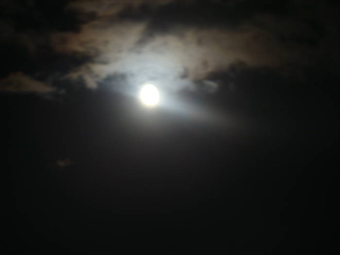 DSC00416