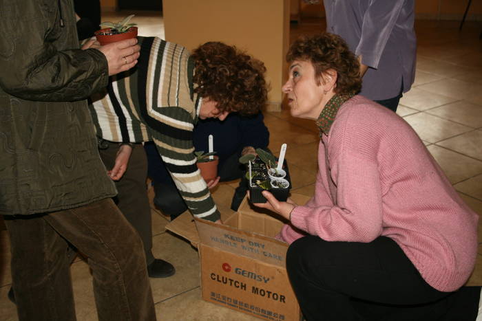 Gabi cerand lamuriri despre plantele primite