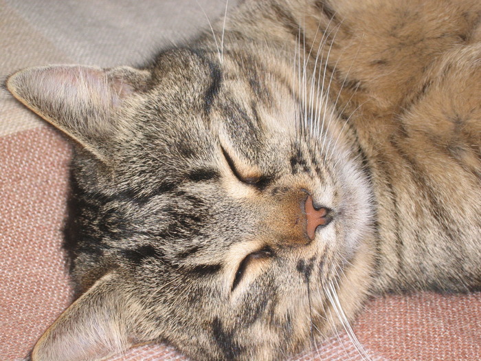 23 dec 2007 032