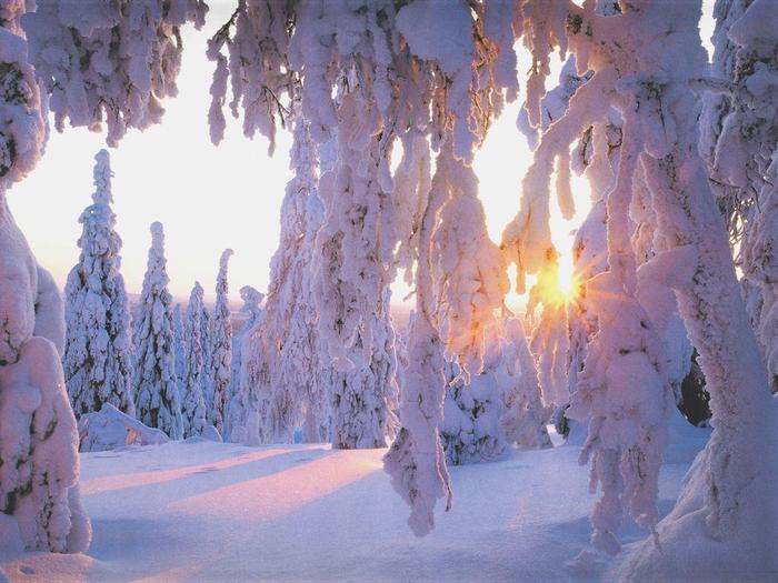 Christmas Wallpapers (48)