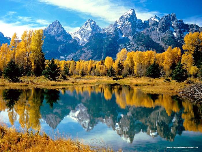 Autumn Grandeur, Grand Teton National Park, Wyoming