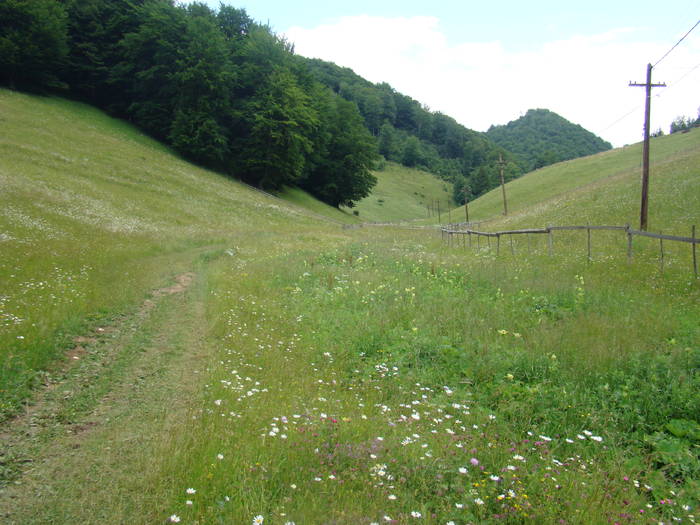 DSC03884 - Concediu 2009