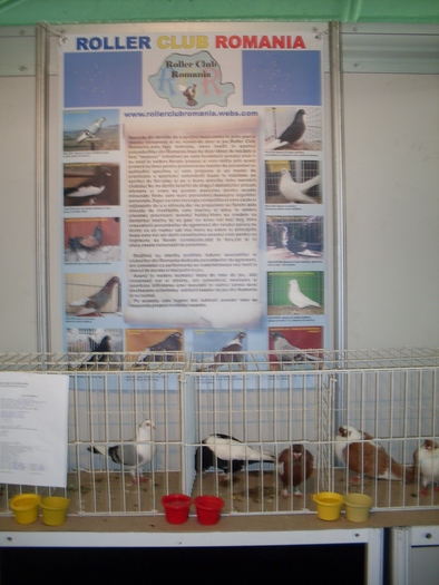 SDC10570 - S -Expo Cluj 24-25 Octombrie