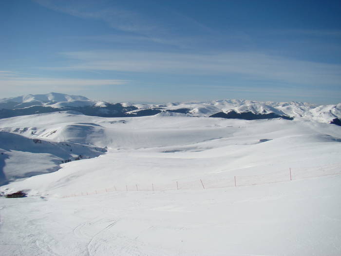 DSC01141 - Bucegi - Valea Izvorul Dorului-Padina