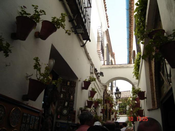 131 Cordoba - Cordoba
