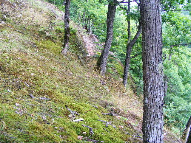 DSCF2564