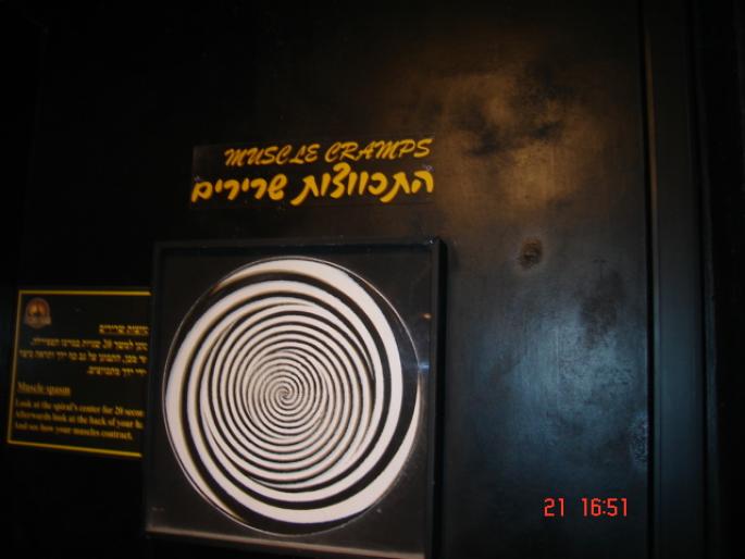 429  Israel - Eilat - 2008 ISRAEL NOIEMBRIE