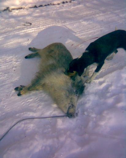 Image000