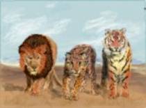 805391 - desene desenatori