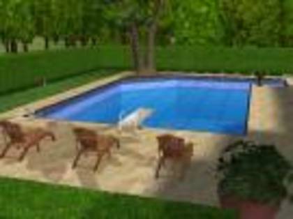 079872be0f66a5ca - sims piscine