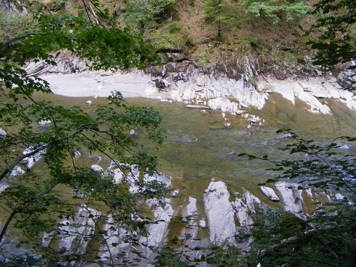 DSCF0415 - Cheile Lapusului- Biserica V- Cetatea Chioar