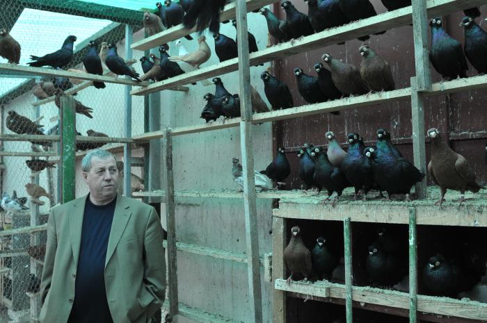 Picture 151 - jucatori de constanta