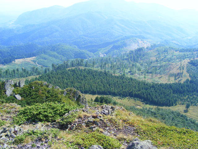 DSCF4469