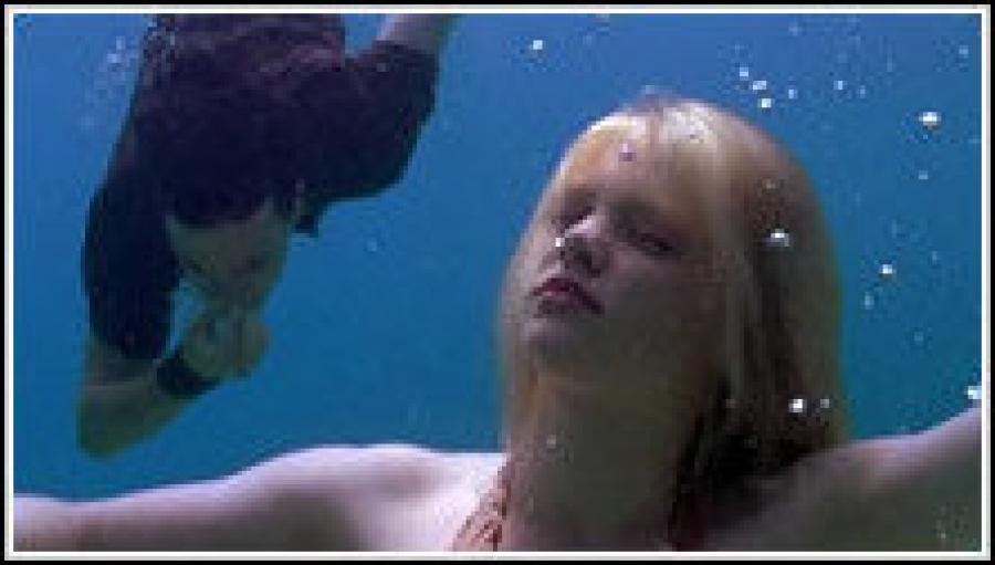 4522378591a6605982407l