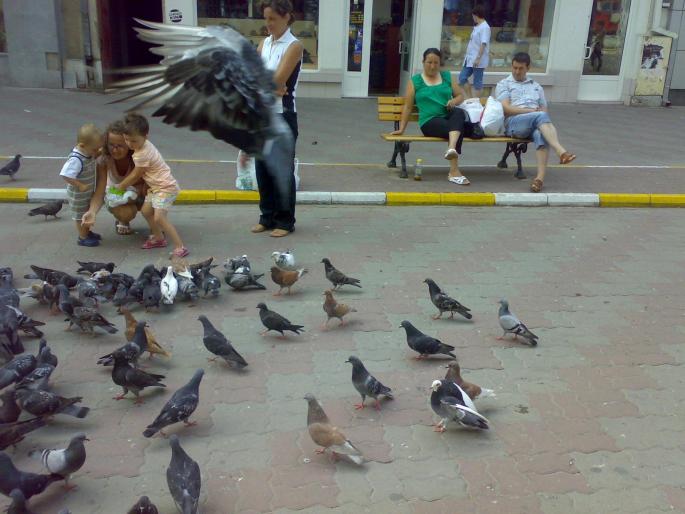 23072008660 - 18a Constanta 1