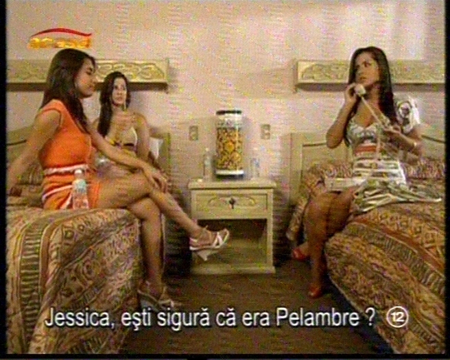 66jefw9yl5gle0us4hx8 - SSNHP