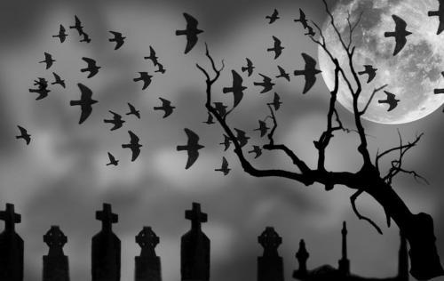 Corbi in Cimitir Wallpaper Gotic