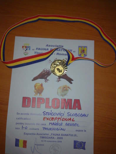 Diploma.