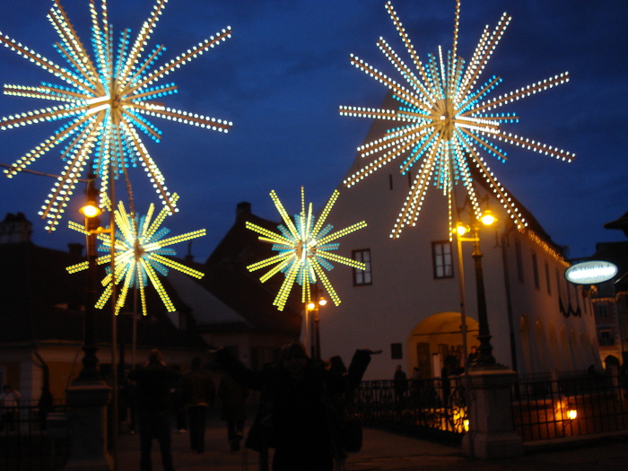 DSC06298 - 2010 REVELION SIBIU