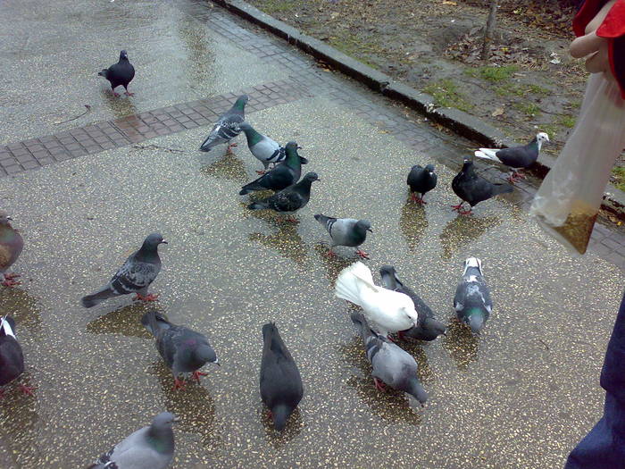 070320091856 - 18a Constanta 1