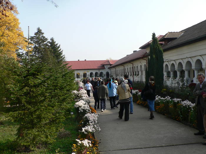 P1030717 - 2008 vara Manastirea Ghighiu
