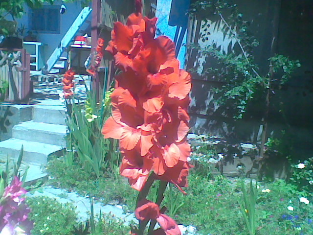 Imag054