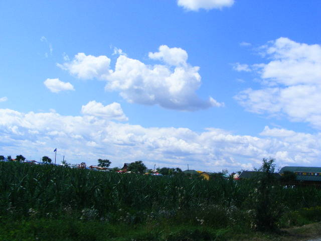 DSCF3989 - Tasnad iulie 2009