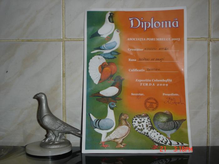 DIPLOMA SI MACHETA - PORUNBEI si