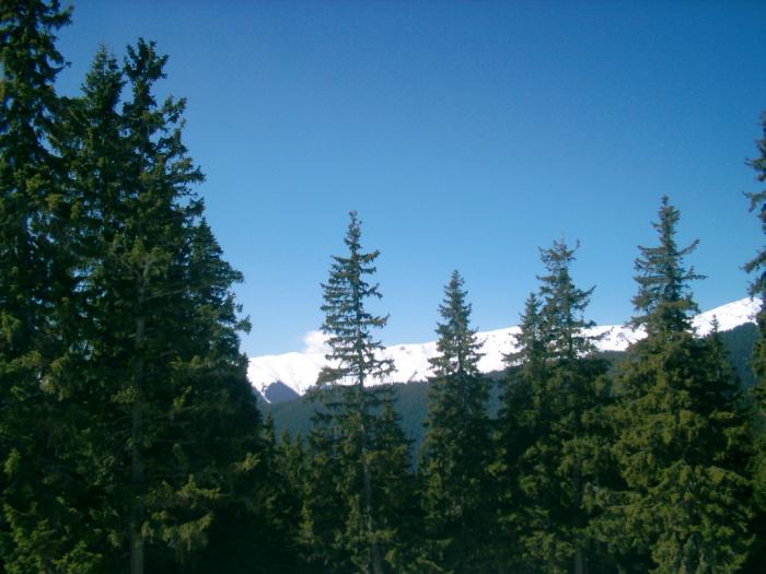 04120085 - Iezer-Papusa