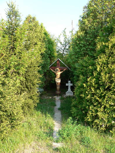 P1040908