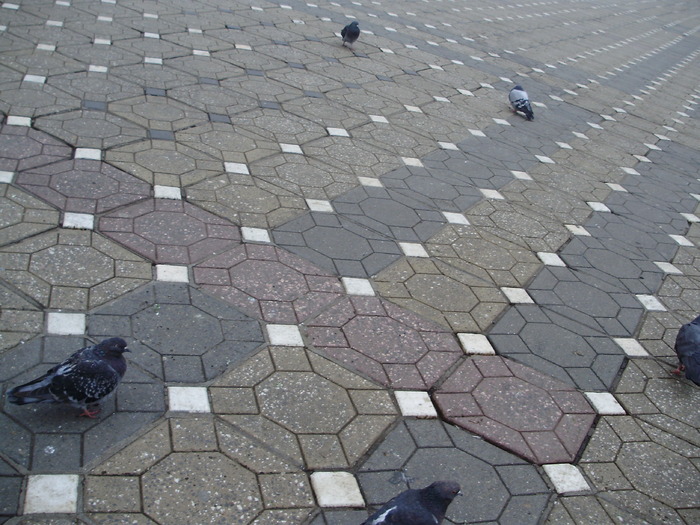 P9040061 - 18g Timisoara