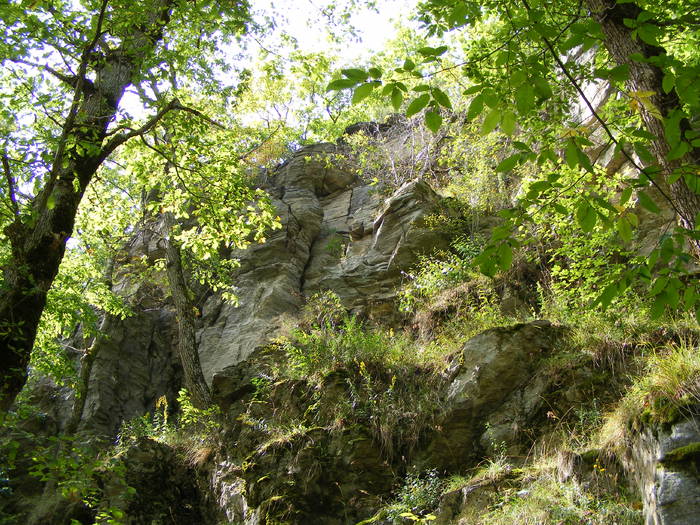DSCF0398 - Cheile Lapusului- Biserica V- Cetatea Chioar