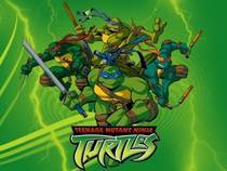 GGGHCLMNMLBGYYEHUBC - ninja turtles