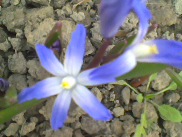 Imag001