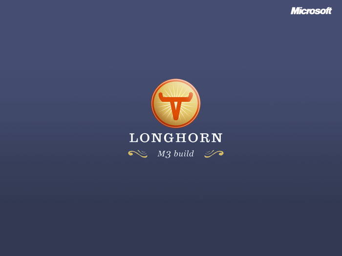 longhorn1 - POZE WINDOWS VISTA