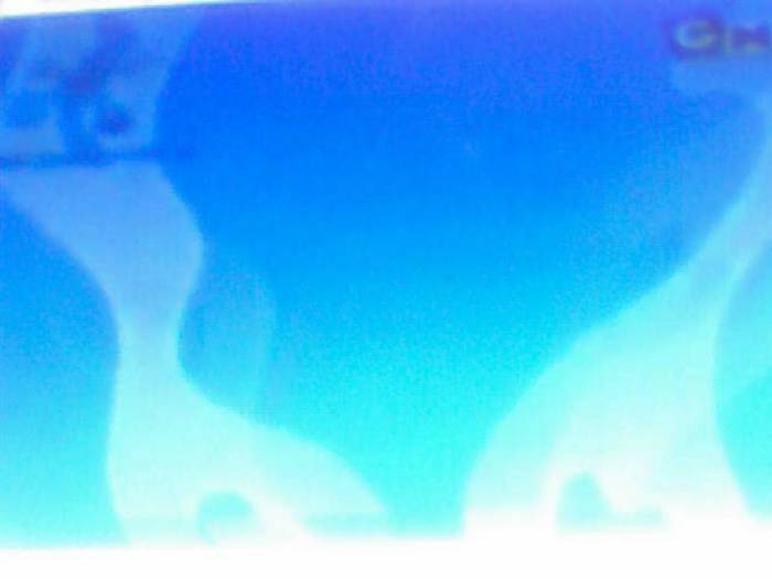 snapshot-379 - Pentru Madalina8