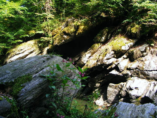 DSCF5173