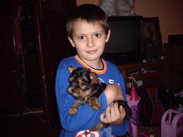 Yorkshire; Rober si yuka la 2 luni
