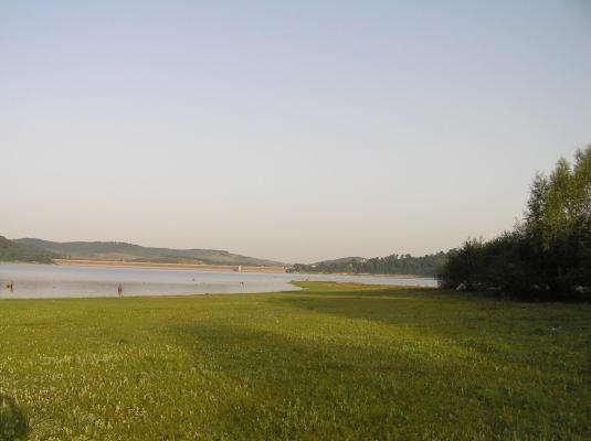 P8200081