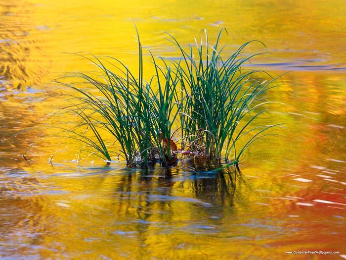 Reflections of Fall, Green Mountains National Forest, Vermont - Very Beautiful Nature Scenes