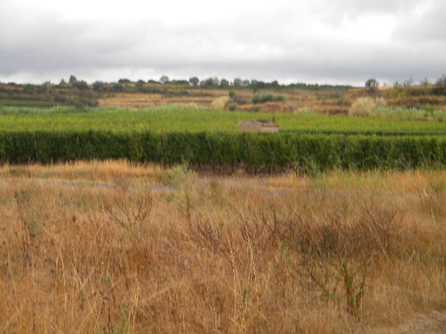 DSCN1658