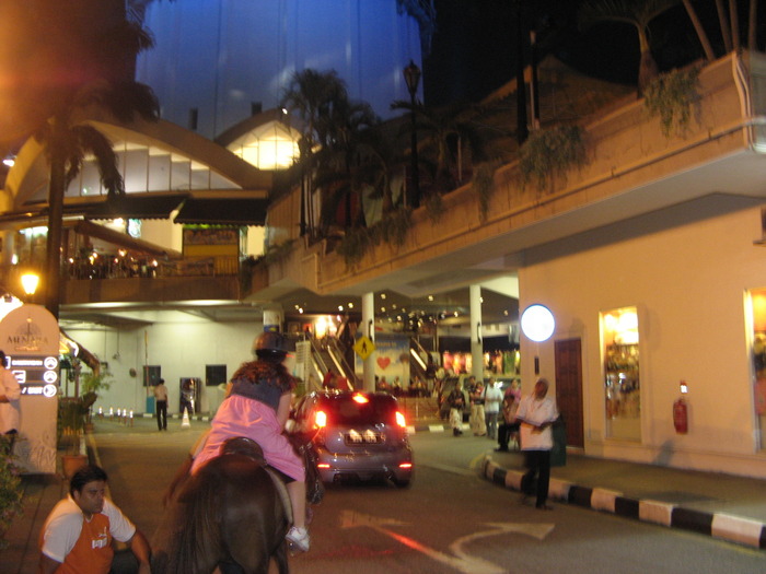 IMG_1139 - 2_2 - Kuala Lumpur - Malaysia dec 2009